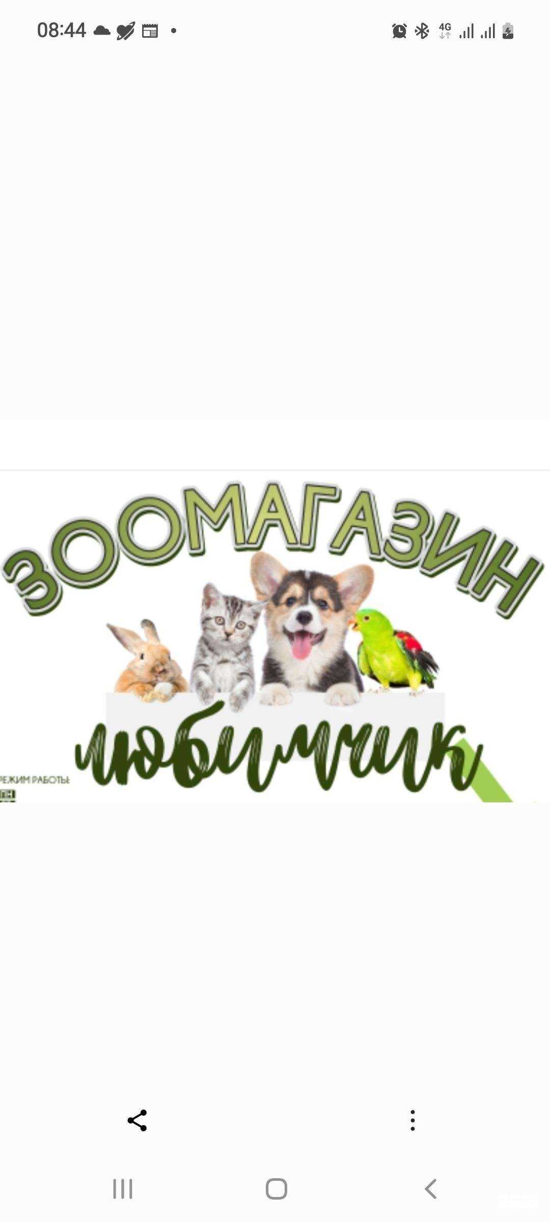 Отзывы на компанию Зоолюбимчик в Рязани c фото