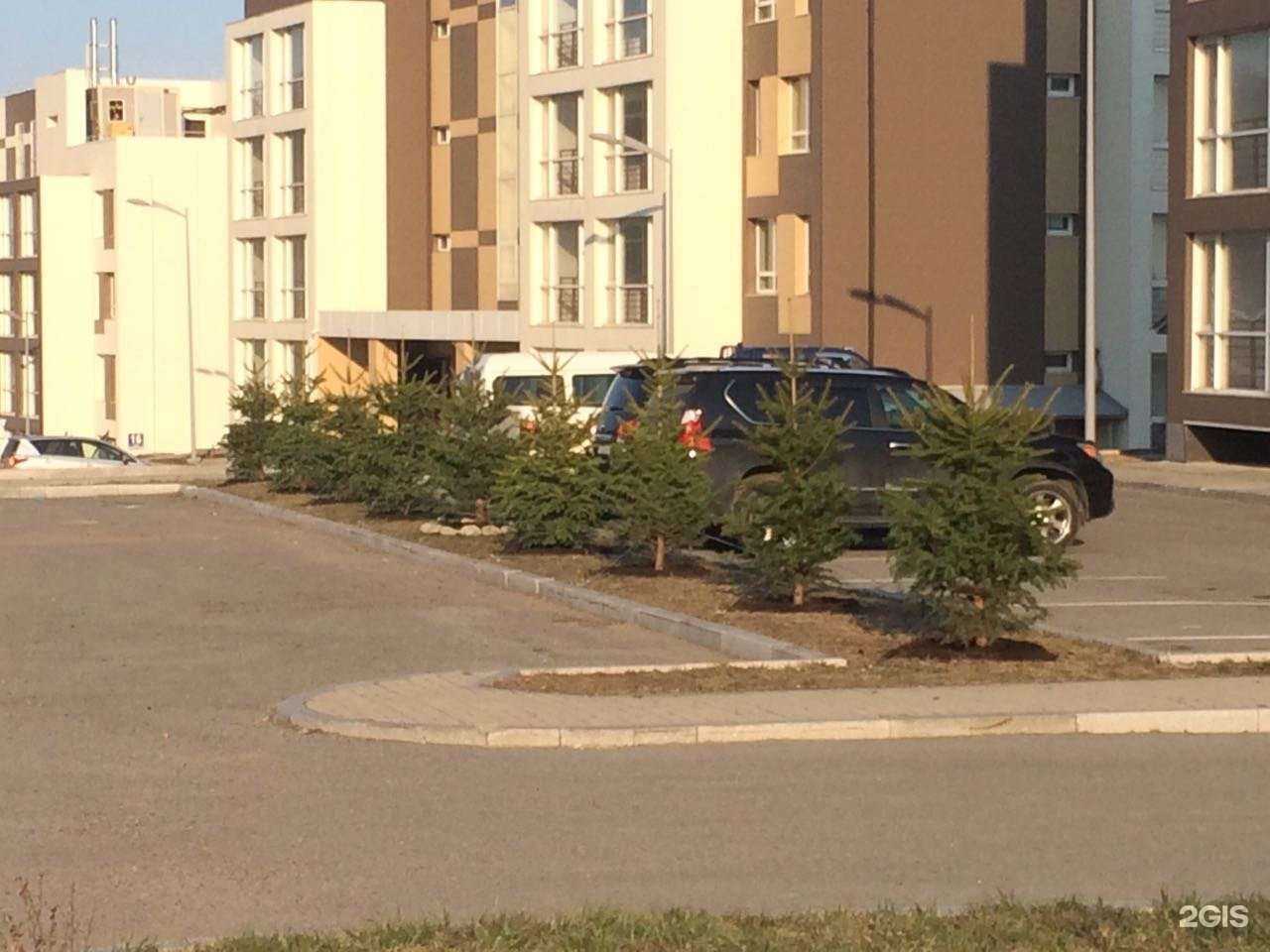 Отзывы на компанию Владсад в г. Владивосток c фото