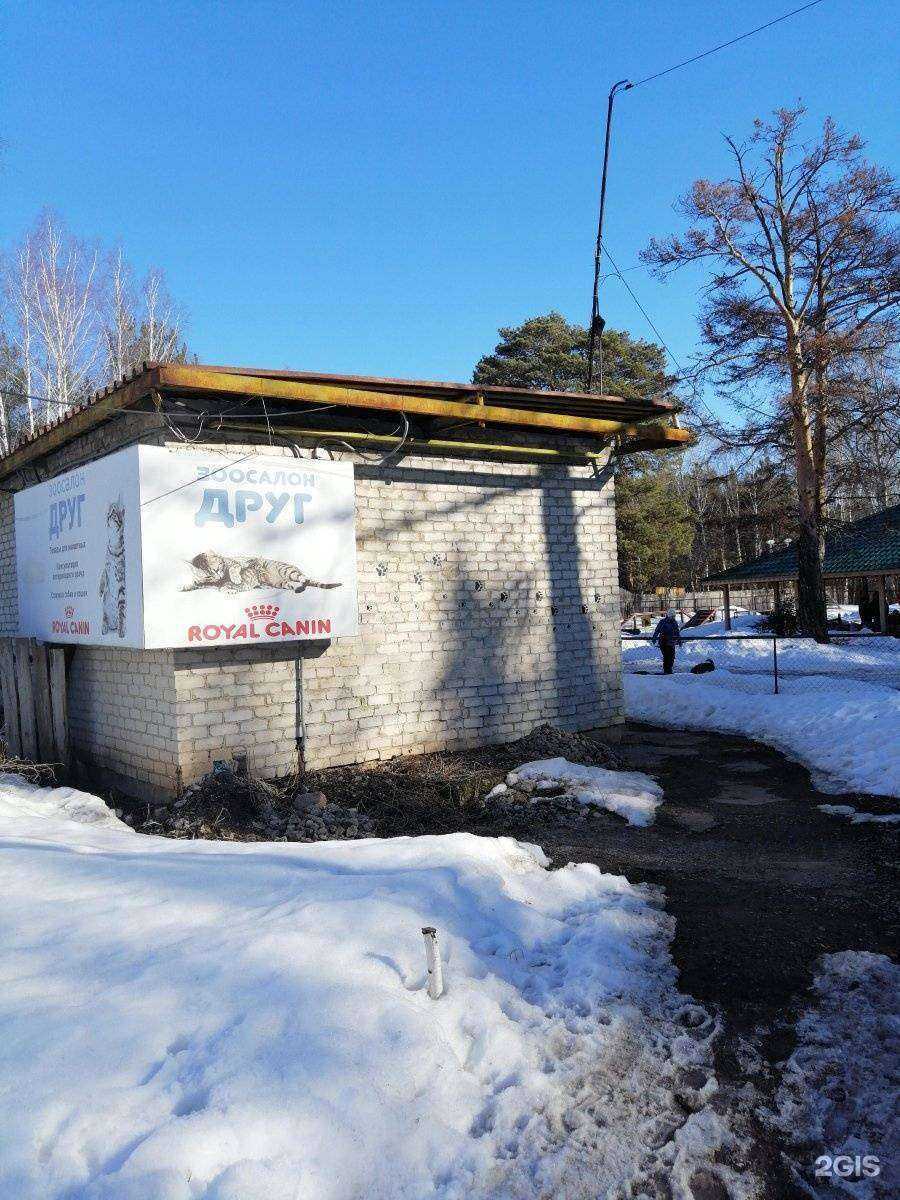 Отзывы на компанию Друг в Каменске-Уральском c фото