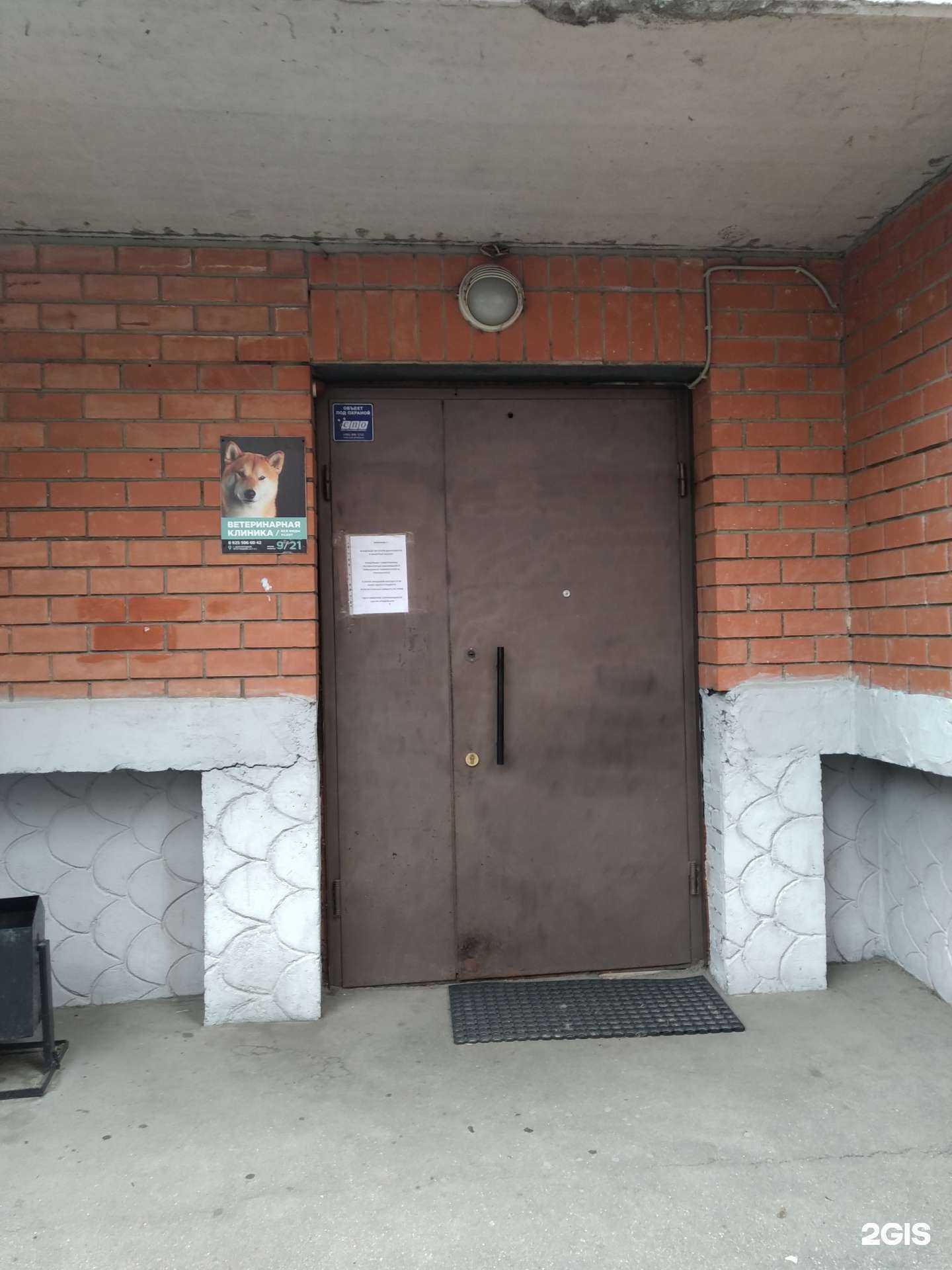 Отзывы на компанию Ветеринарная клиника в г. Долгопрудный c фото