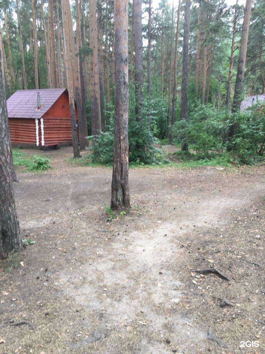 Отзывы на компанию Эльф парк в Екатеринбурге c фото - фотография 2 из 2