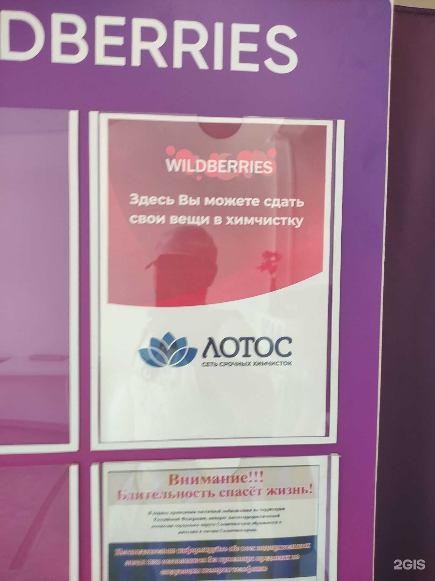 Отзывы на компанию Лотос в Солнечногорске c фото