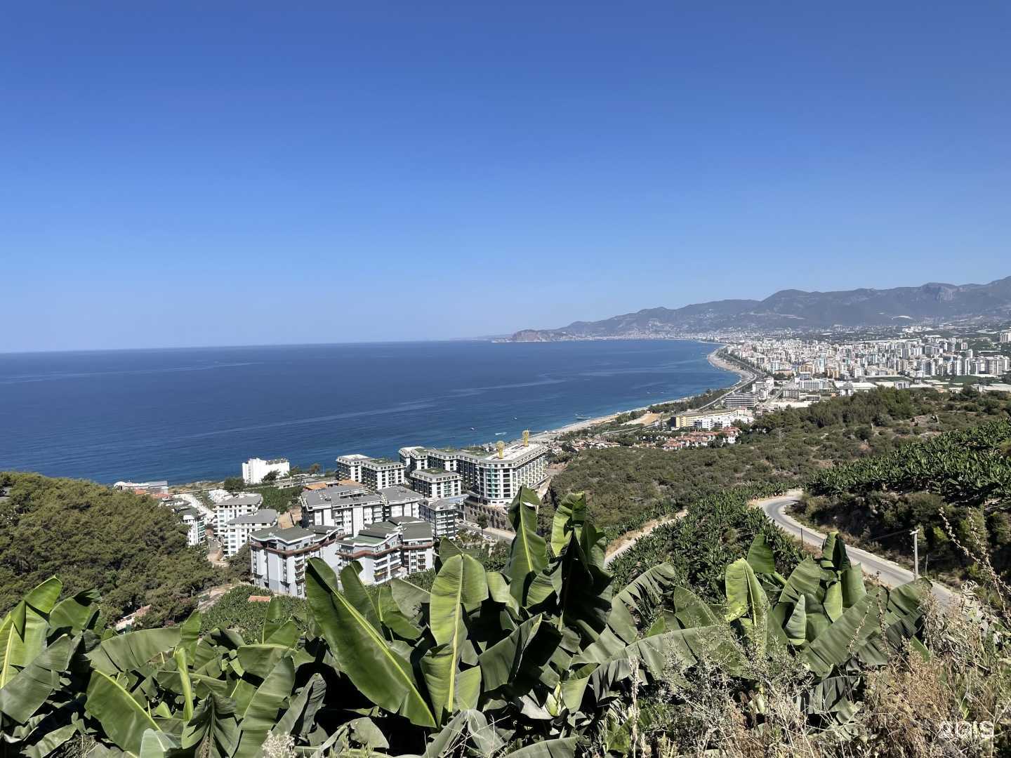 Отзывы на компанию СэвенХэвен в Волгограде c фото