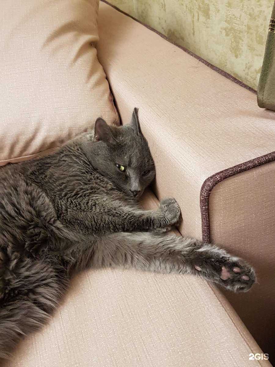 Отзывы на компанию Emoji в Самаре c фото - фотография 2 из 2