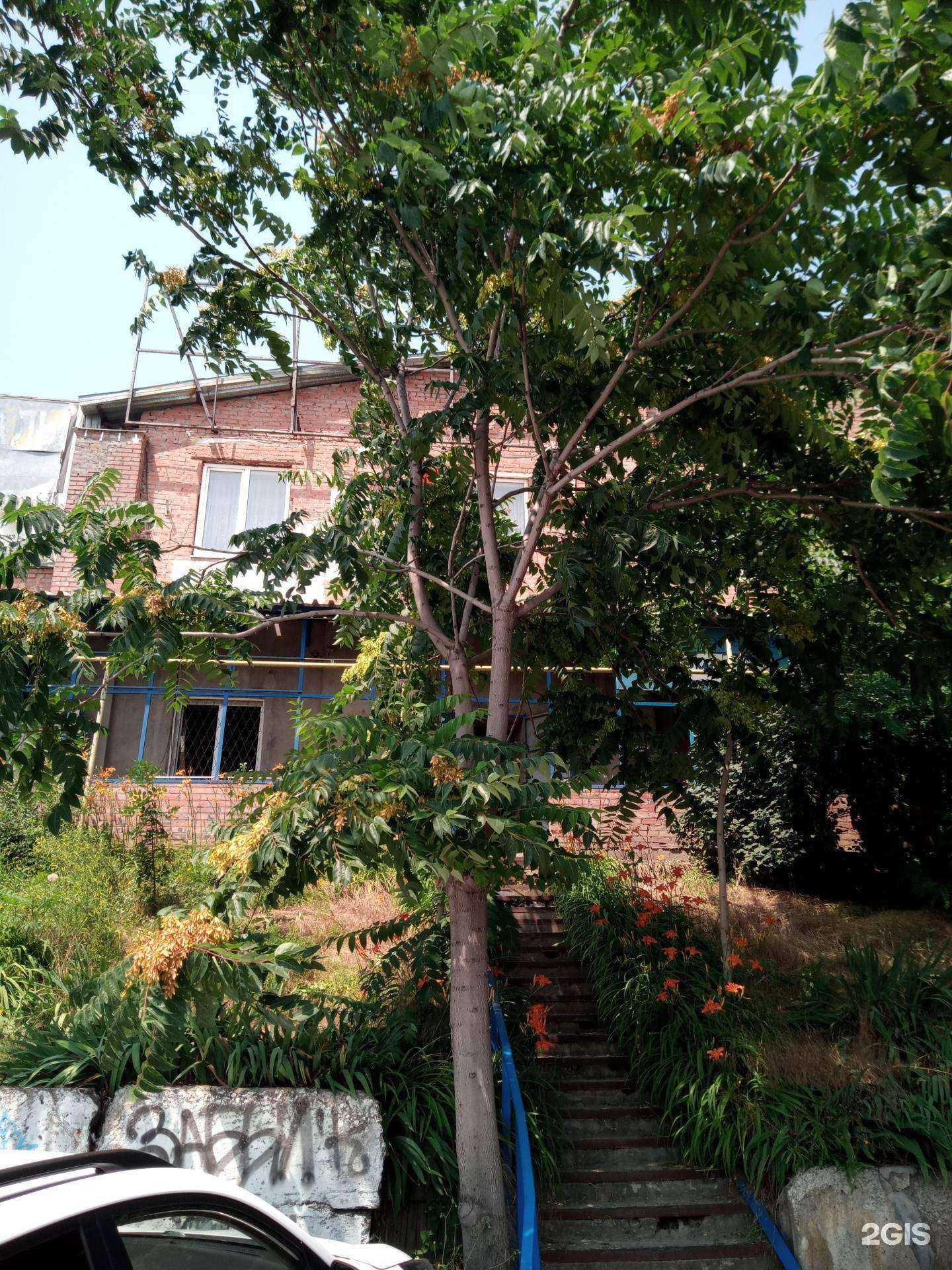 Отзывы на компанию Абсолют в Ростове-на-Дону c фото - фотография 2 из 2