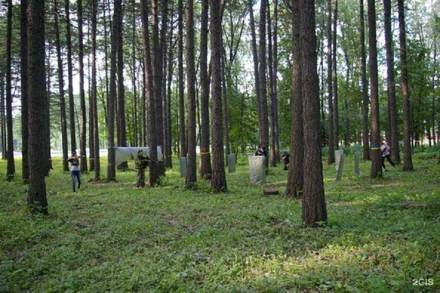 Отзывы на компанию Laser-shot в Новомосковске c фото