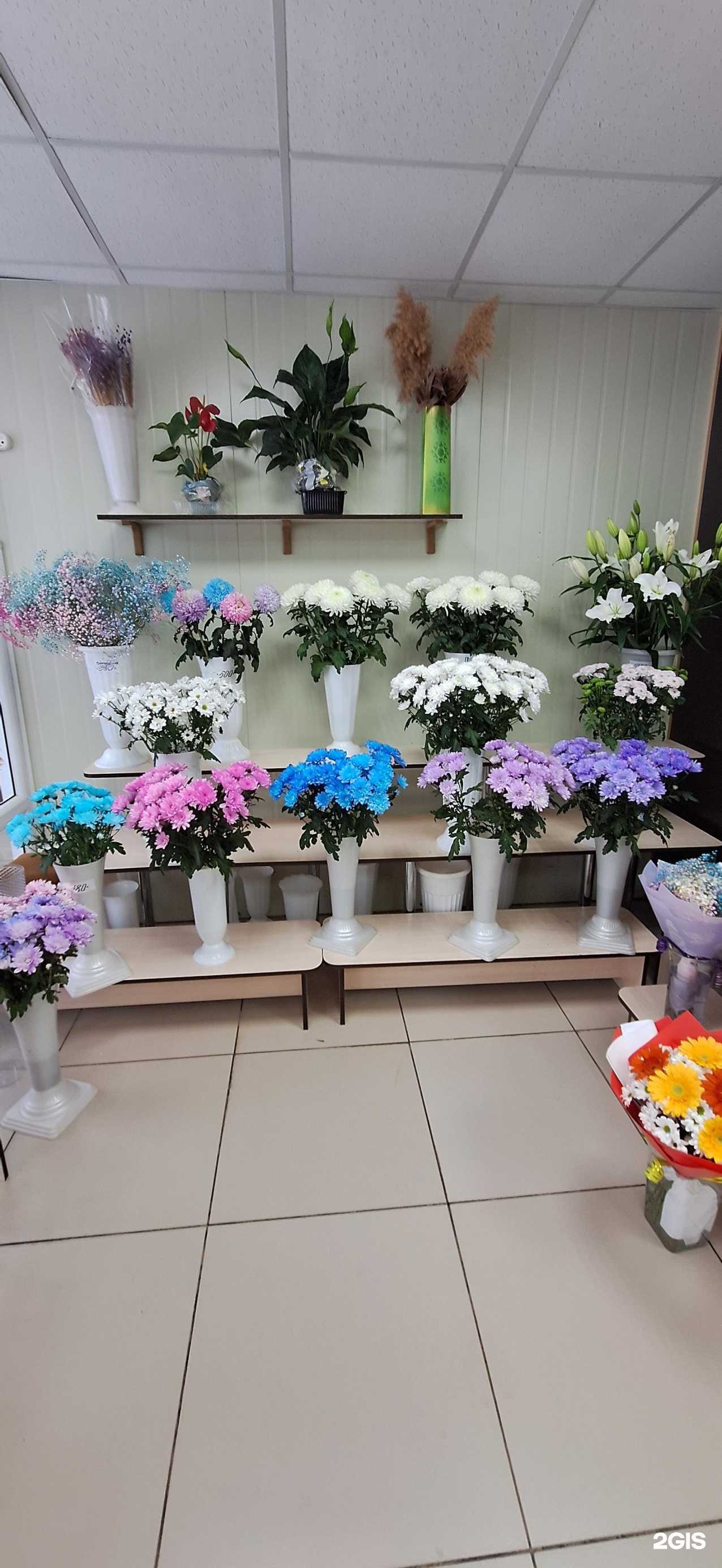 Отзывы на компанию Ля Бутон в Елизове c фото