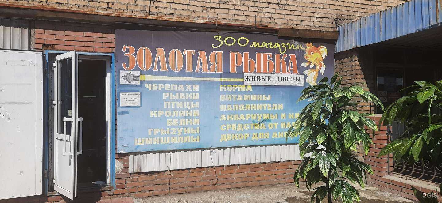 Отзывы на компанию Золотая рыбка в г. Сызрань c фото
