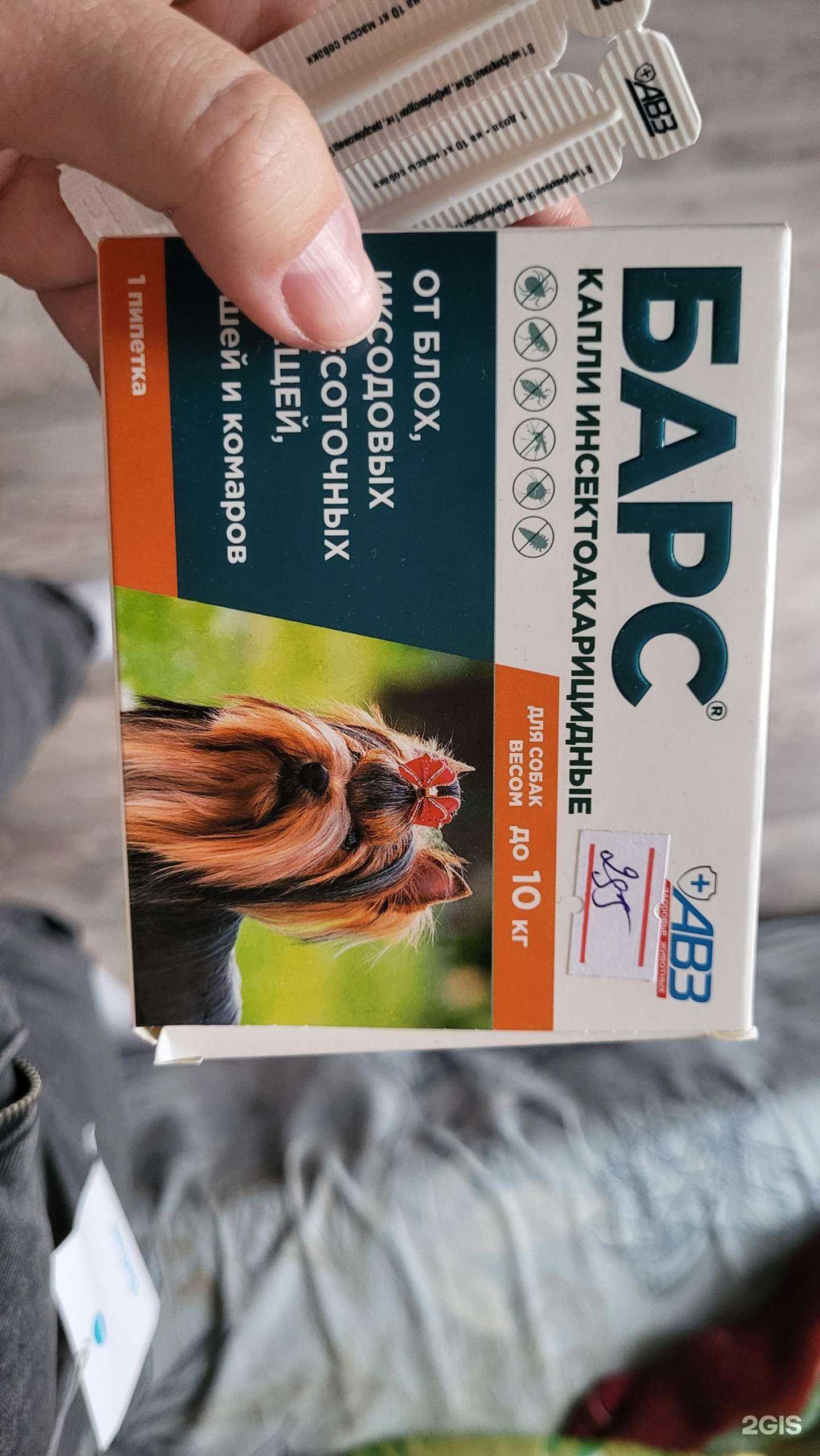 Отзывы на компанию Китти в Бийске c фото