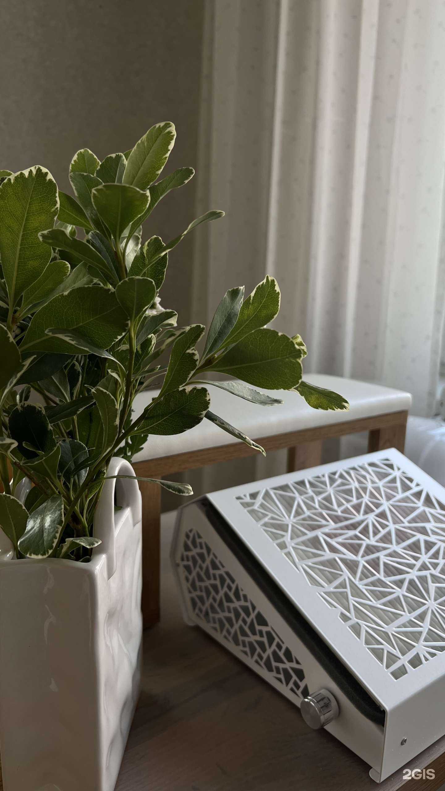 Отзывы на компанию Limon в Новосибирске c фото