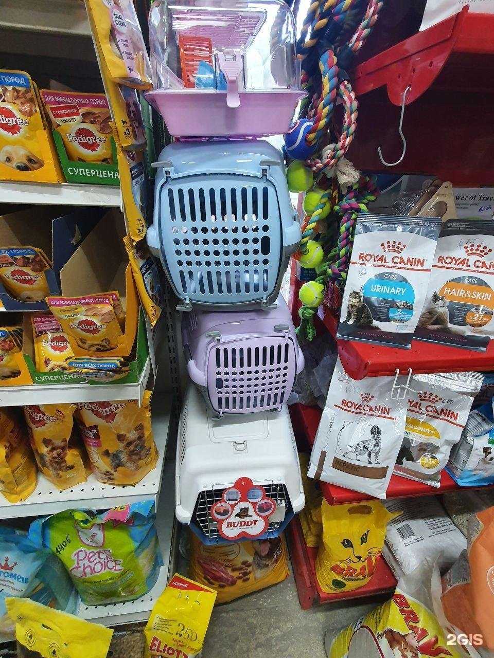 Отзывы на компанию КотоПес в Златоусте c фото