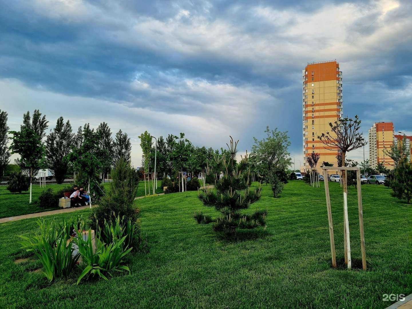 Отзывы на компанию Лапочки в Ростове-на-Дону c фото - фотография 2 из 2