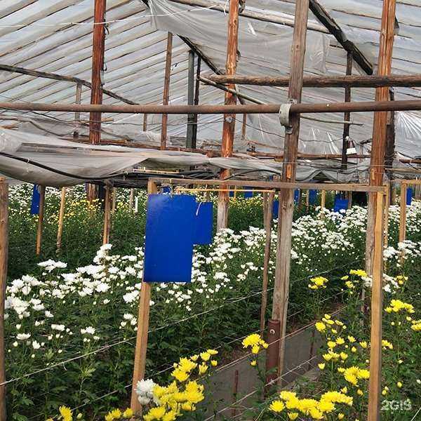 Отзывы на компанию Магнолия в г. Курган c фото