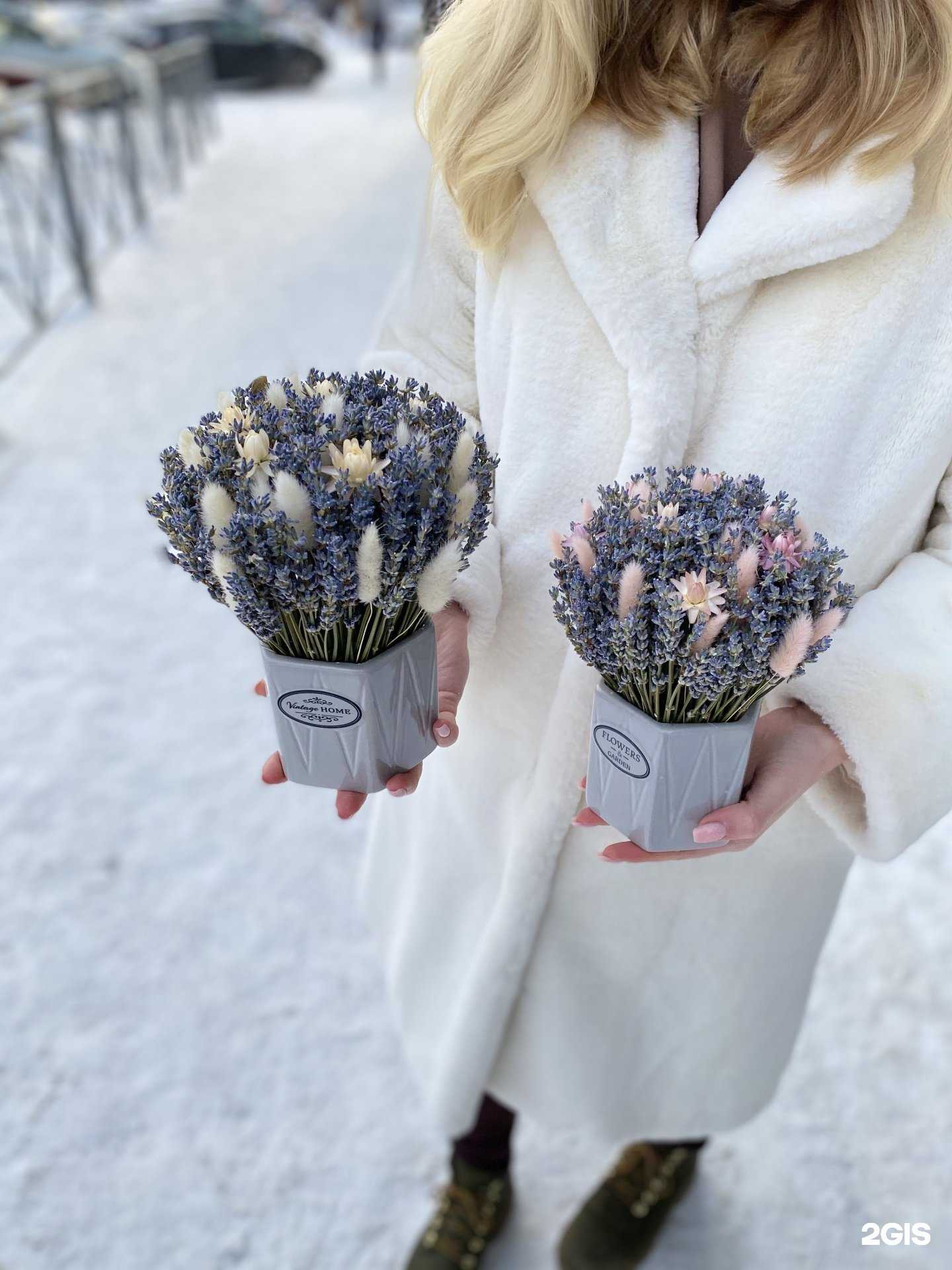 Отзывы на компанию Travinka в г. Ярославль c фото