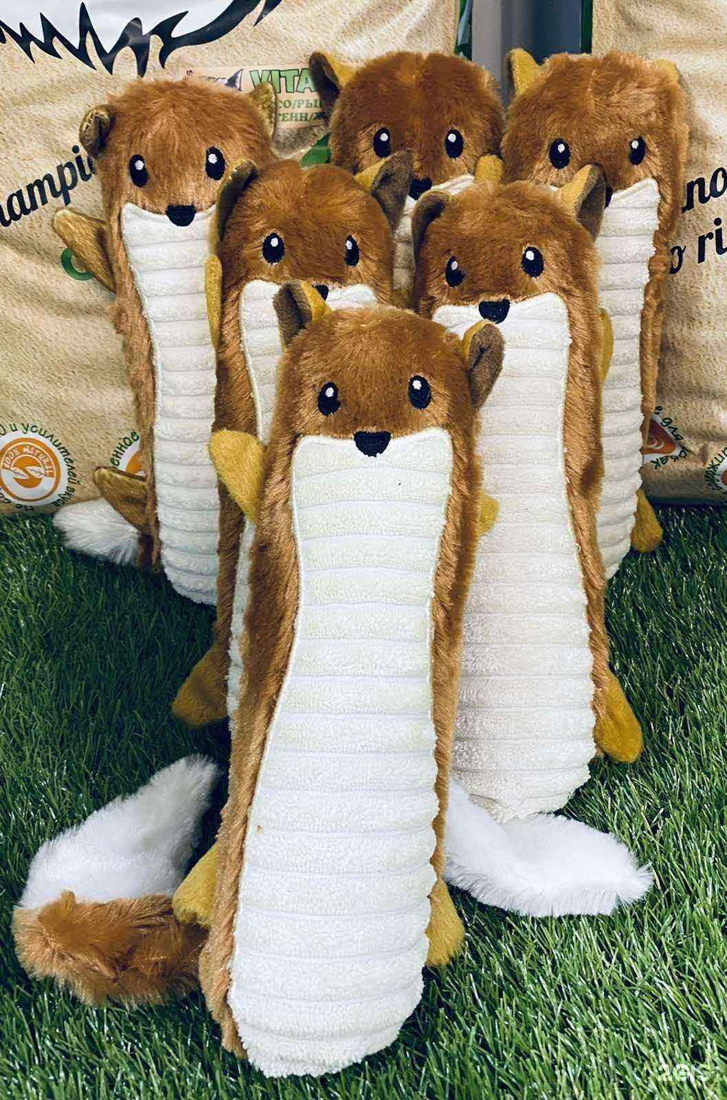 Отзывы на компанию Акари Киар в г. Сургут c фото