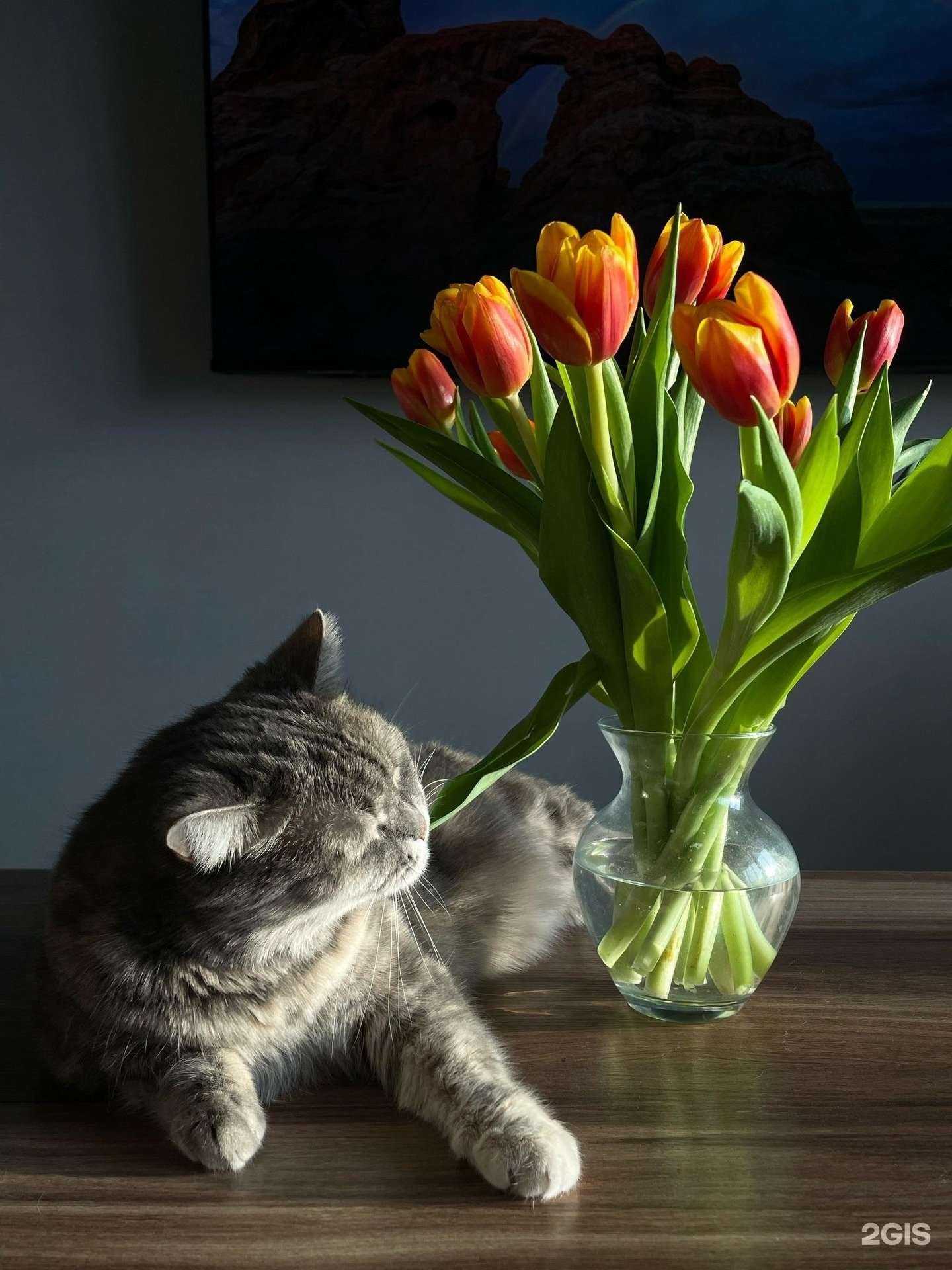 Отзывы на компанию FLOraОПТ в Новосибирске c фото