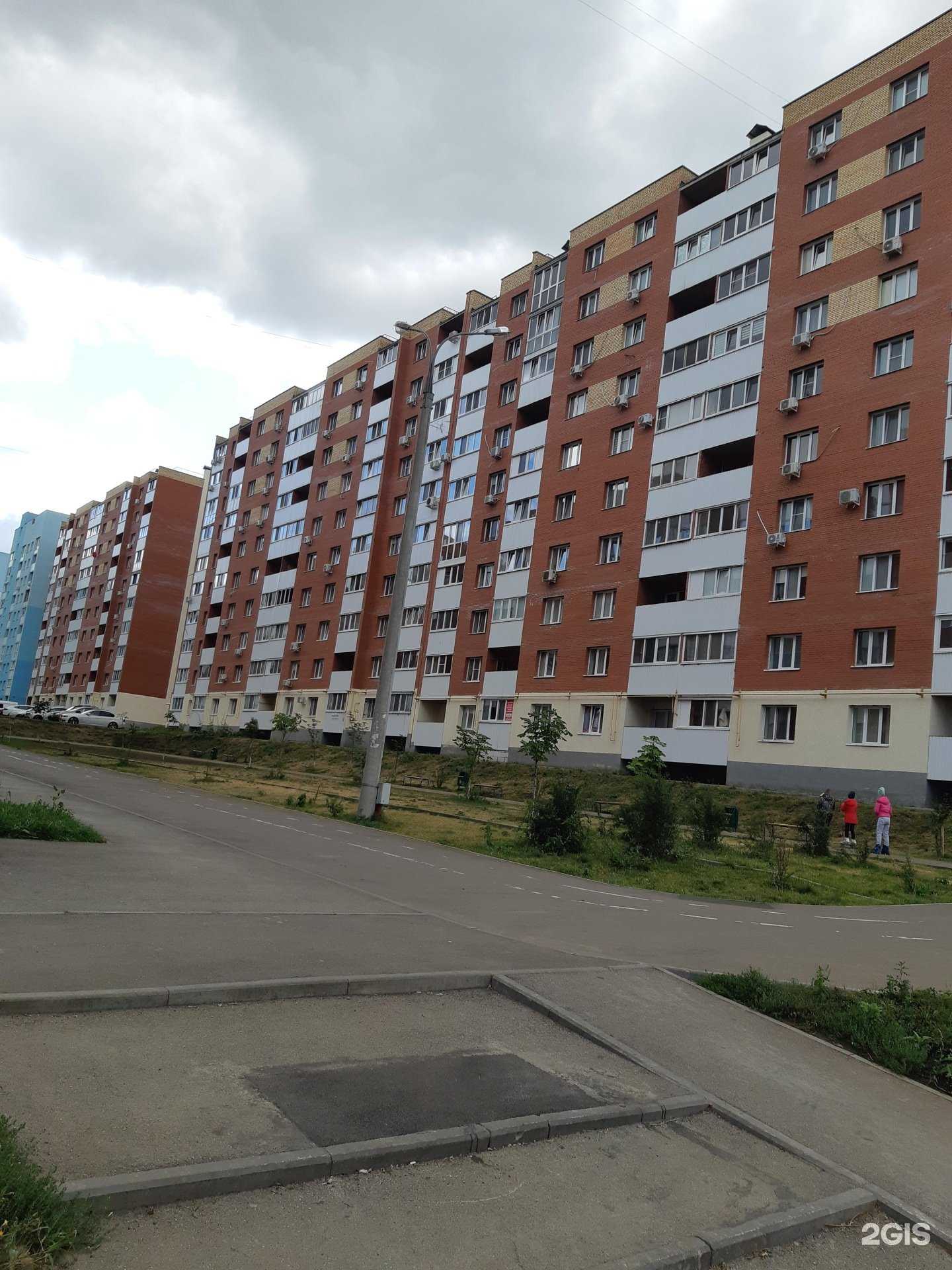 Отзывы на компанию Здоровый питомец в Самаре c фото - фотография 2 из 2