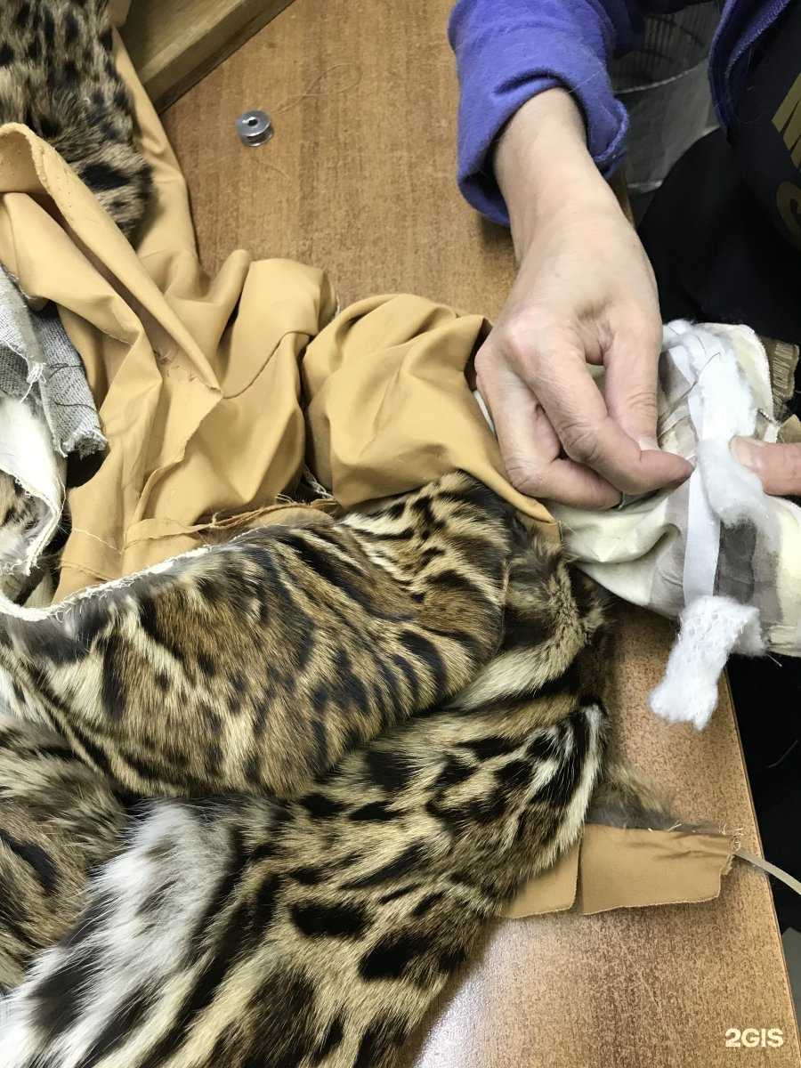 Отзывы на компанию Евромех в Омске c фото