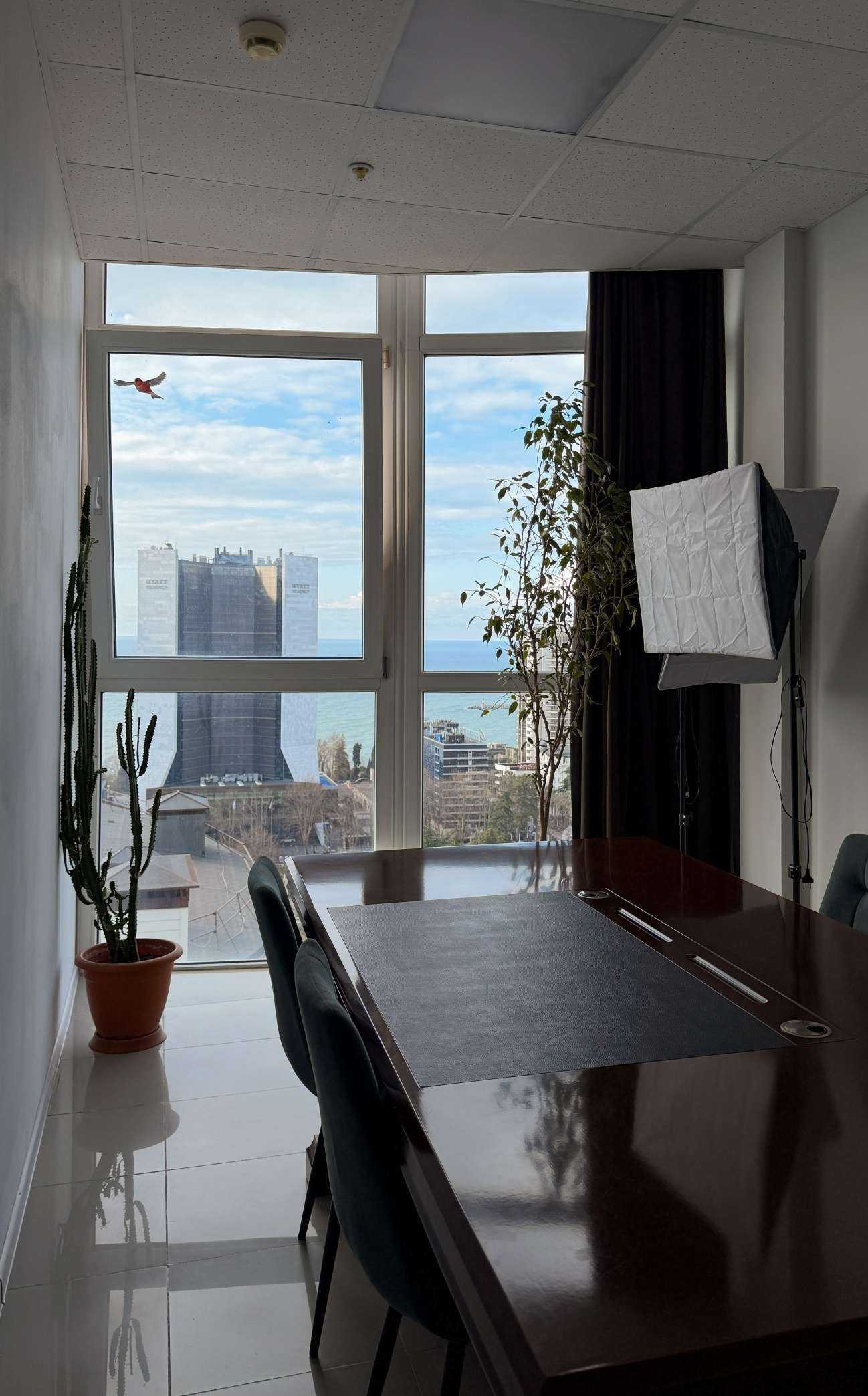 Отзывы на компанию Дом недвижимости в г. Сочи c фото