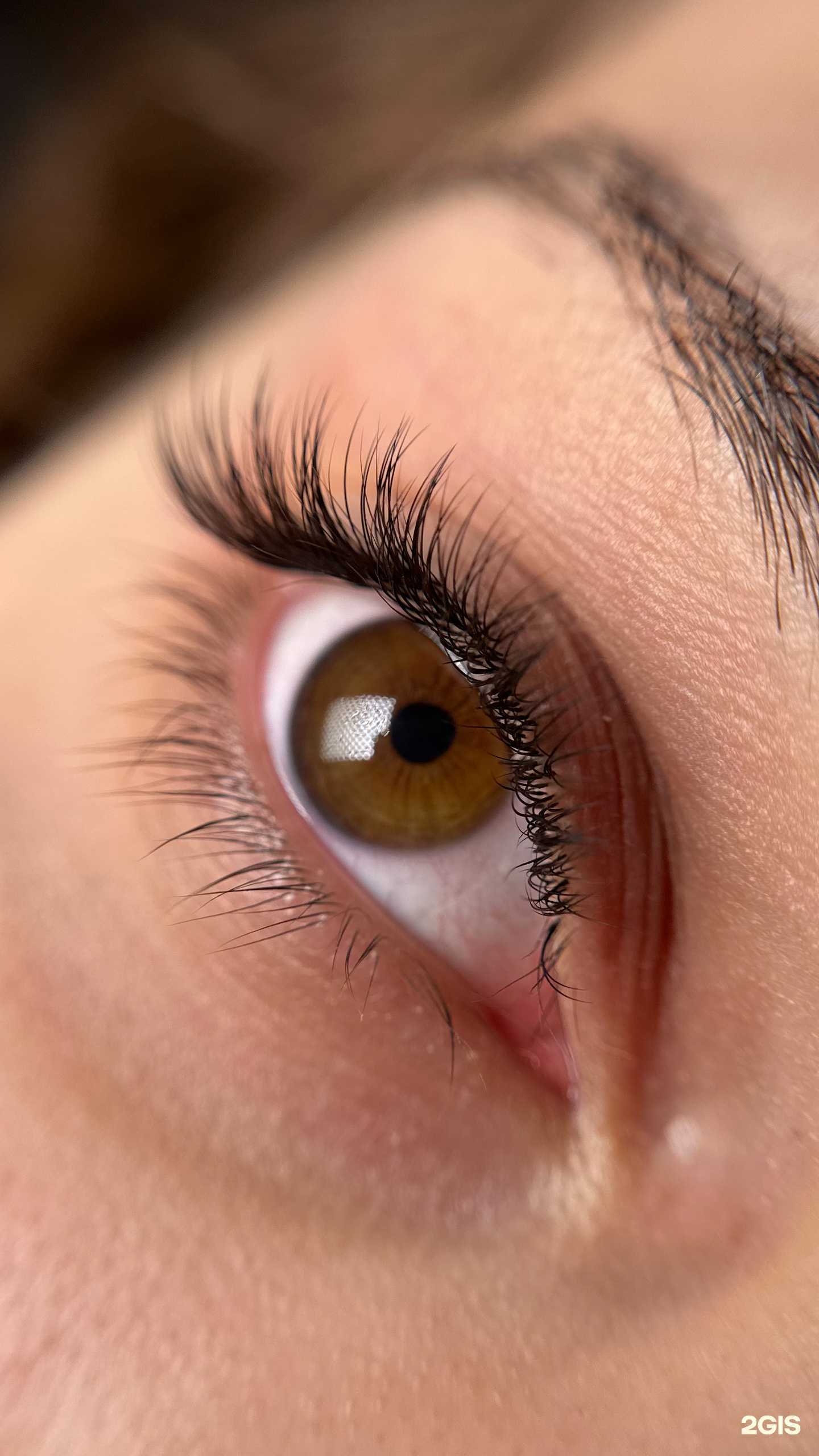 Отзывы на компанию Aт brow&lash studio в г. Нижний Новгород c фото