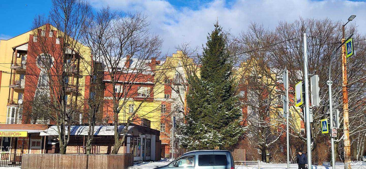 Отзывы на компанию Ваша правовая защита в Калининграде c фото - фотография 2 из 2