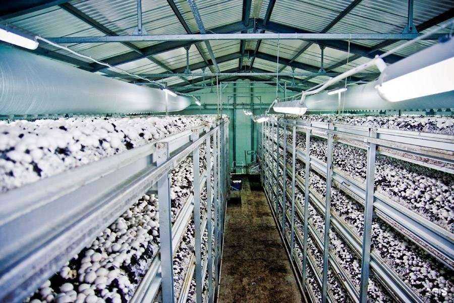 Отзывы на компанию Ангар 31 в г. Губкин c фото