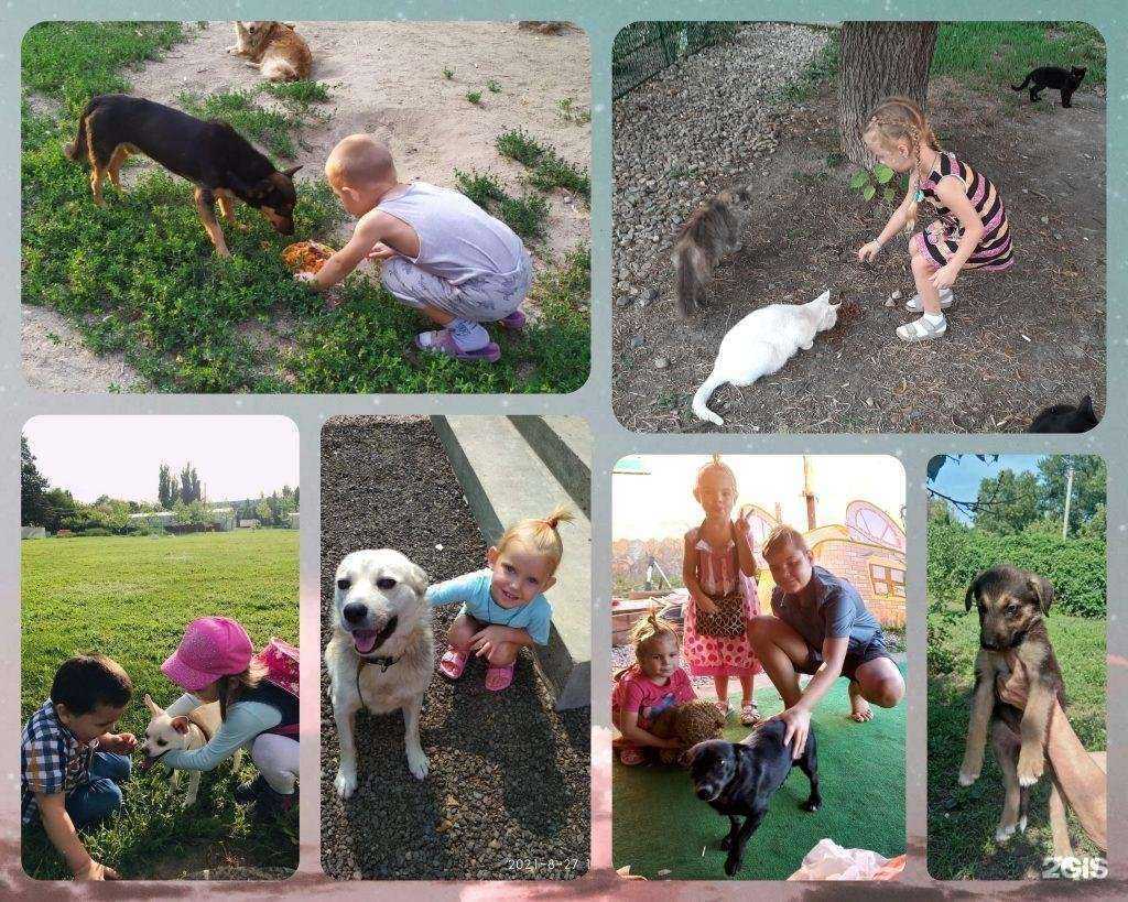 Отзывы на компанию Детский сад №20 в Тимашёвске c фото