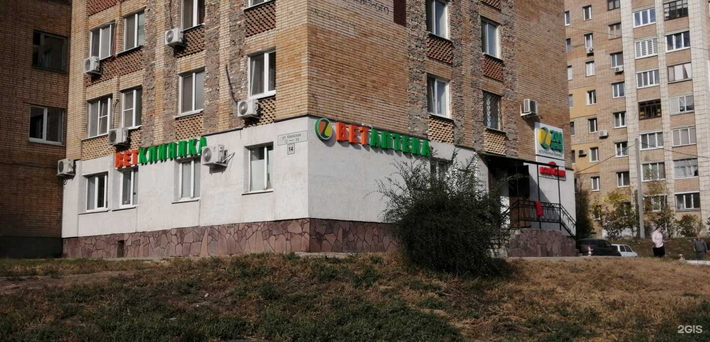 Отзывы на компанию Zoo центр в Самаре c фото