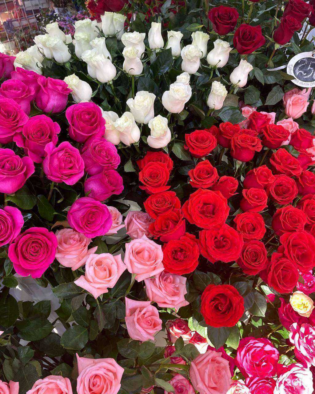 Отзывы на компанию Жасмина в Томске c фото