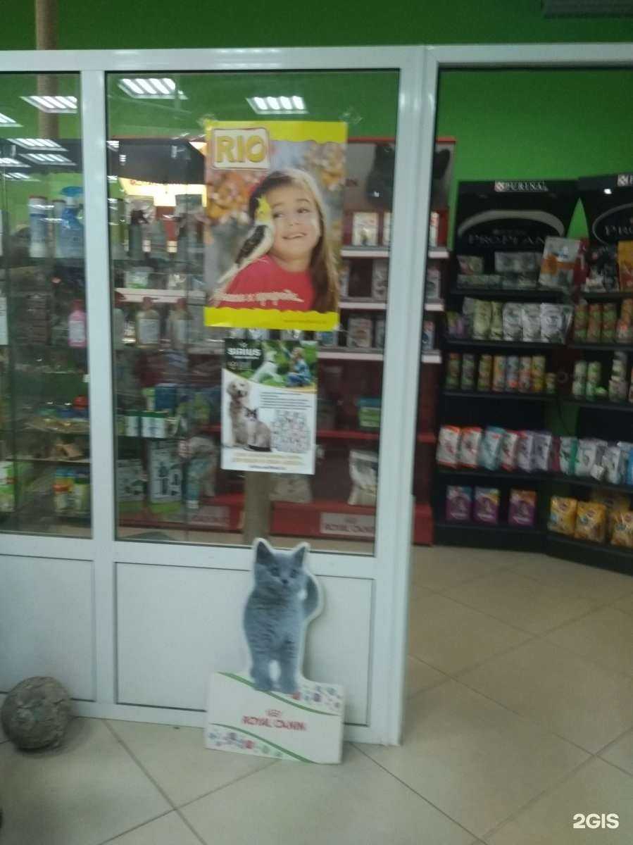 Отзывы на компанию Кузя в Иванове c фото