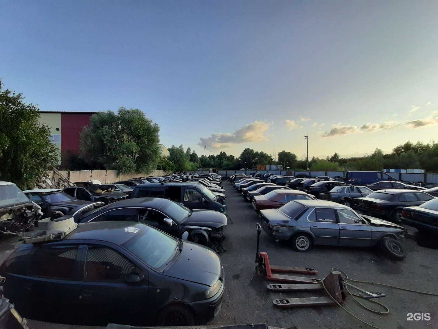 Отзывы на компанию Global parts 39 в Калининграде c фото