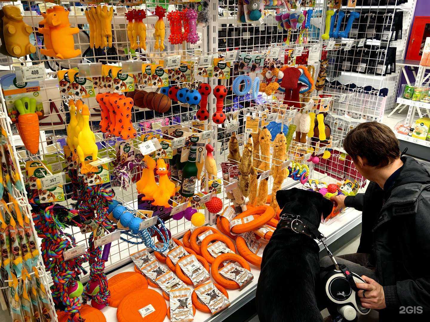 Отзывы на компанию Зоозавр в г. Ульяновск c фото