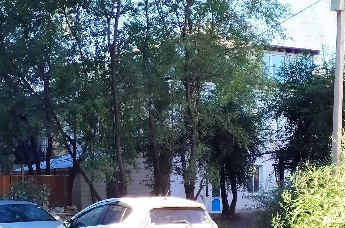 Отзывы на компанию Новый мир в Хабаровске c фото - фотография 2 из 2