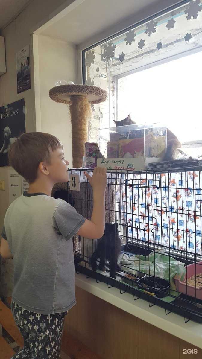 Отзывы на компанию Благосервис в Владивостоке c фото