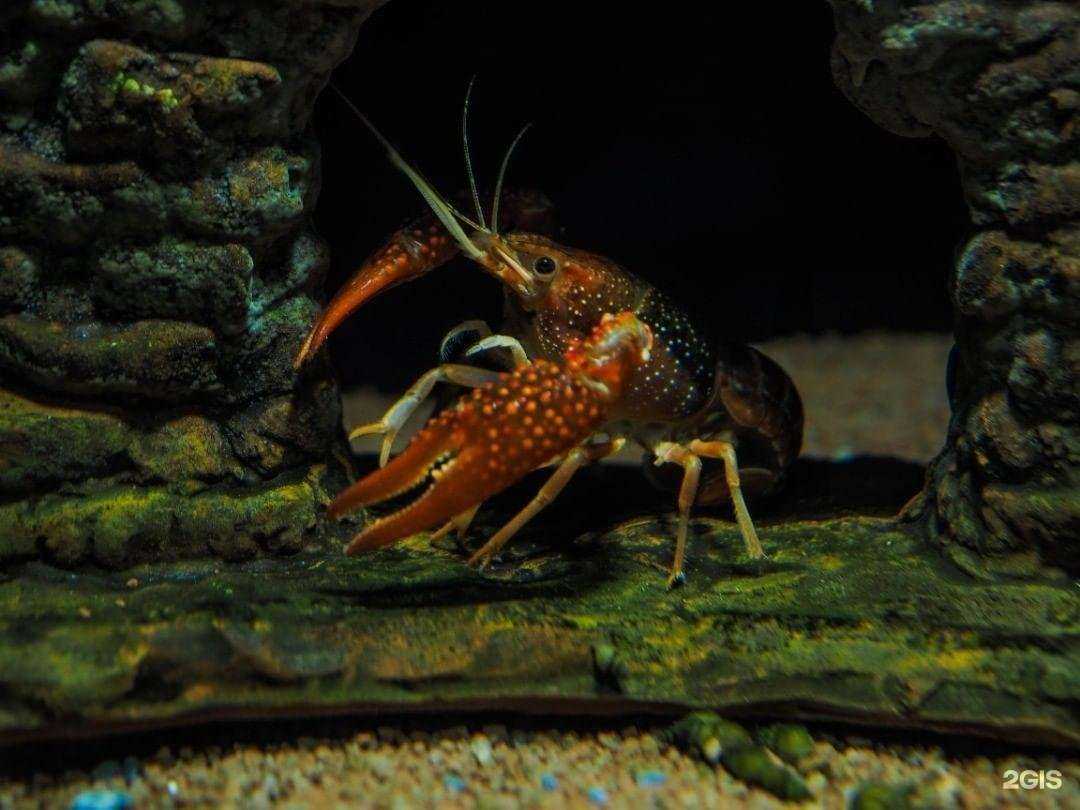 Отзывы на компанию Дискус в Арзамасе c фото