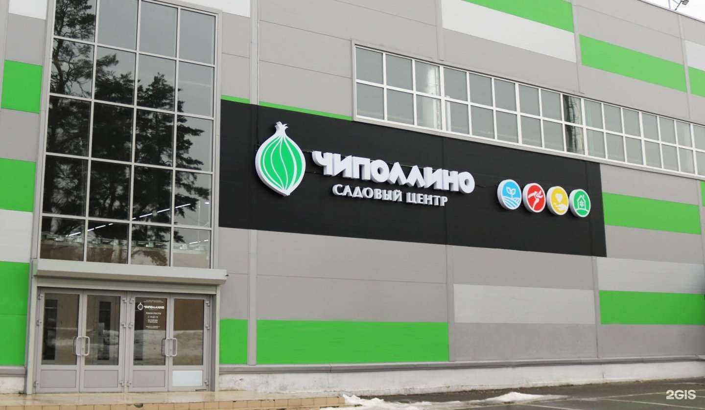 Отзывы на компанию Чиполлино в Тольятти c фото