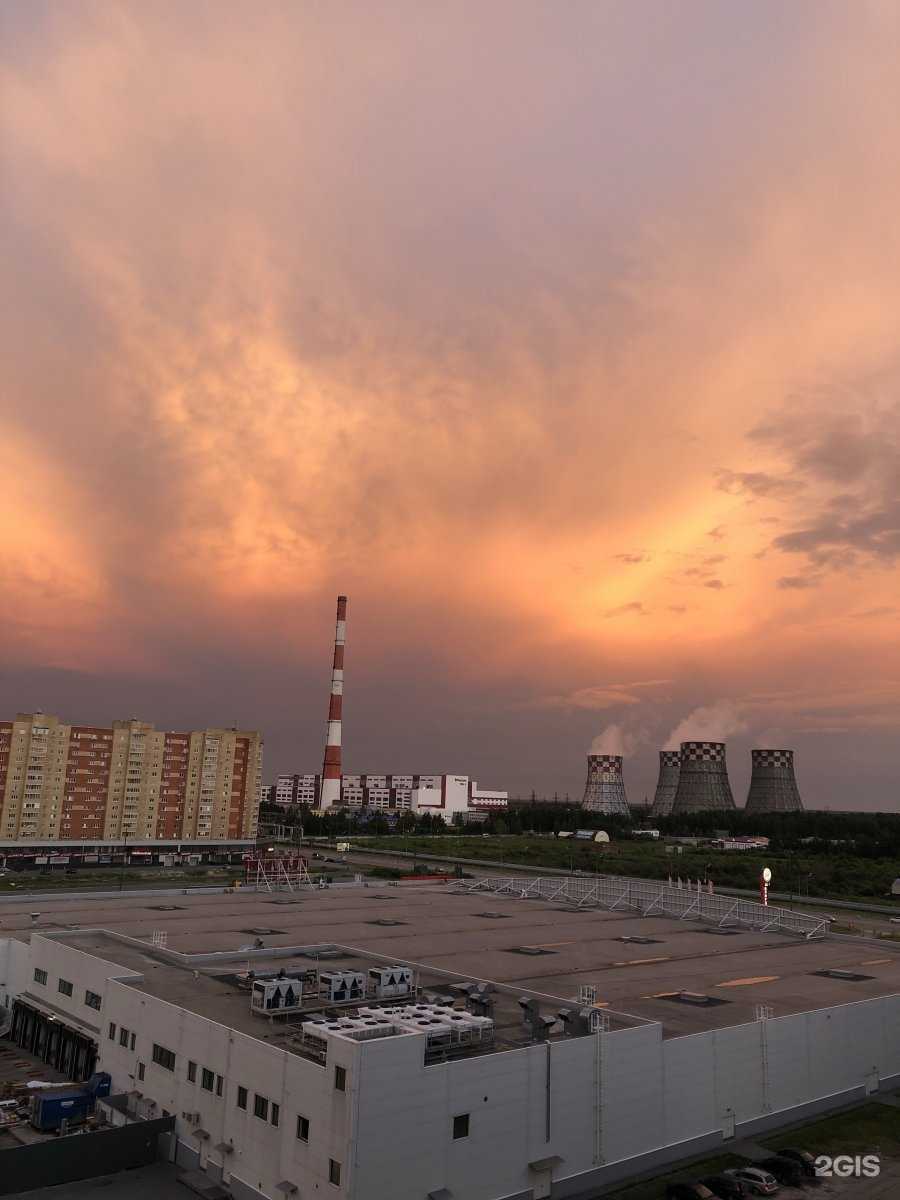 Отзывы на компанию Blanzo в Тюмени c фото - фотография 2 из 2