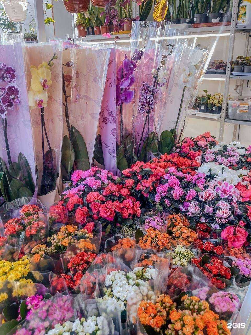 Отзывы на компанию Зимний сад в Иркутске c фото