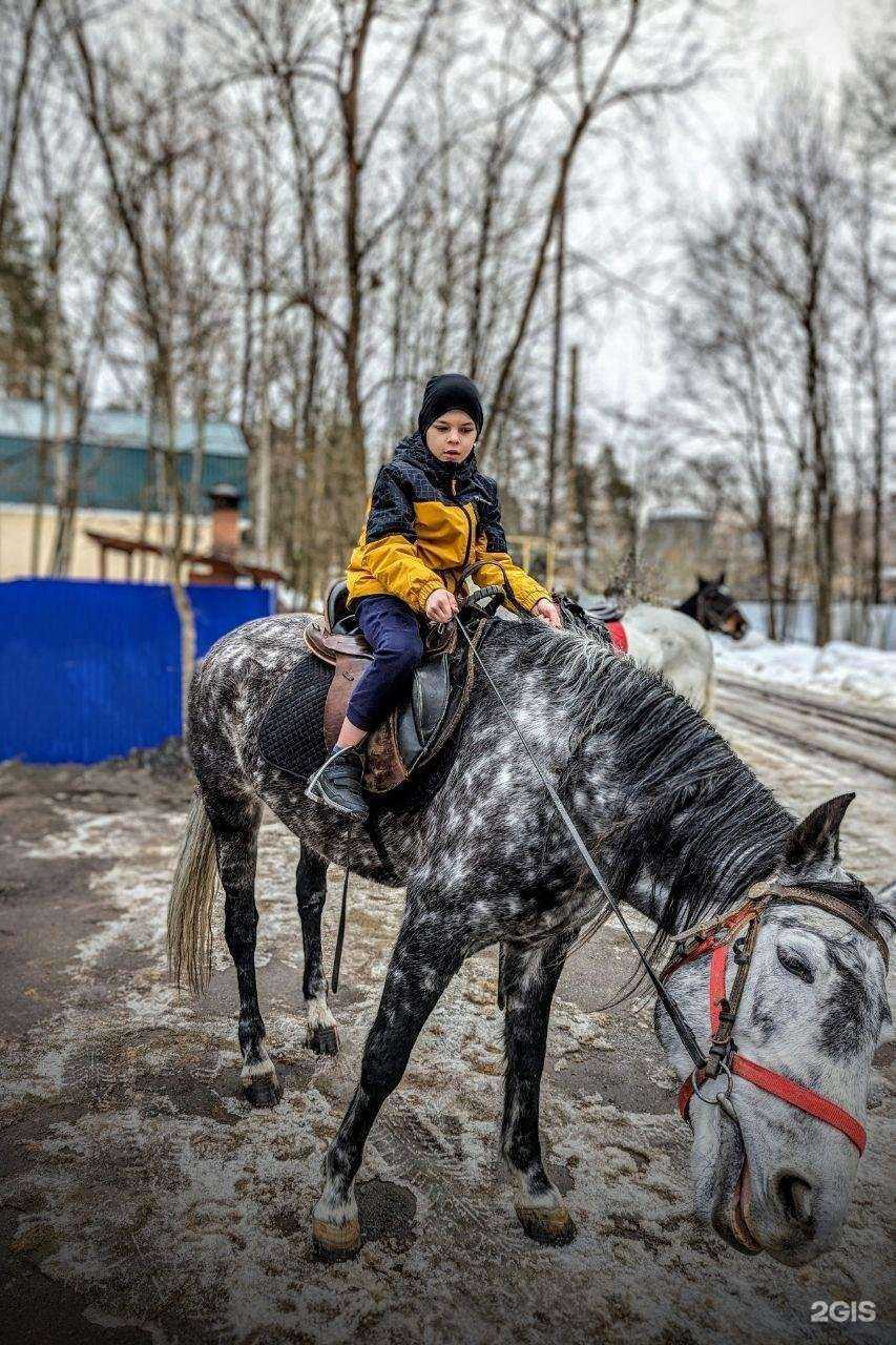 Отзывы на компанию Аллюр в Боре c фото