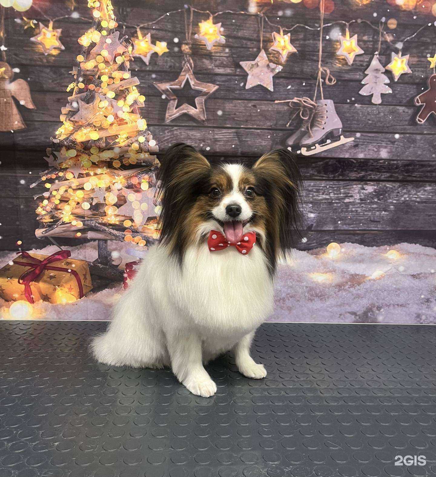 Отзывы на компанию ЛакиГрум в Новокузнецке c фото