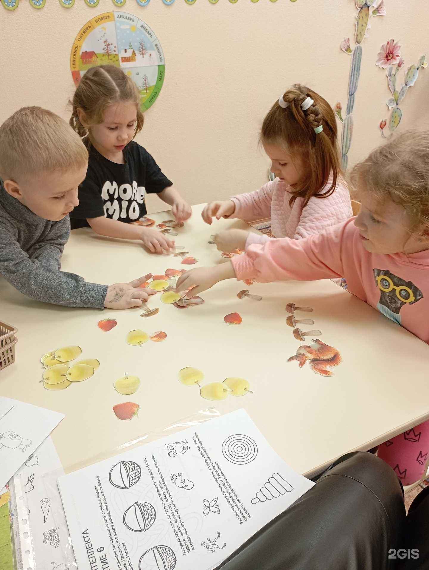 Отзывы на компанию Кактус в г. Новосибирск c фото