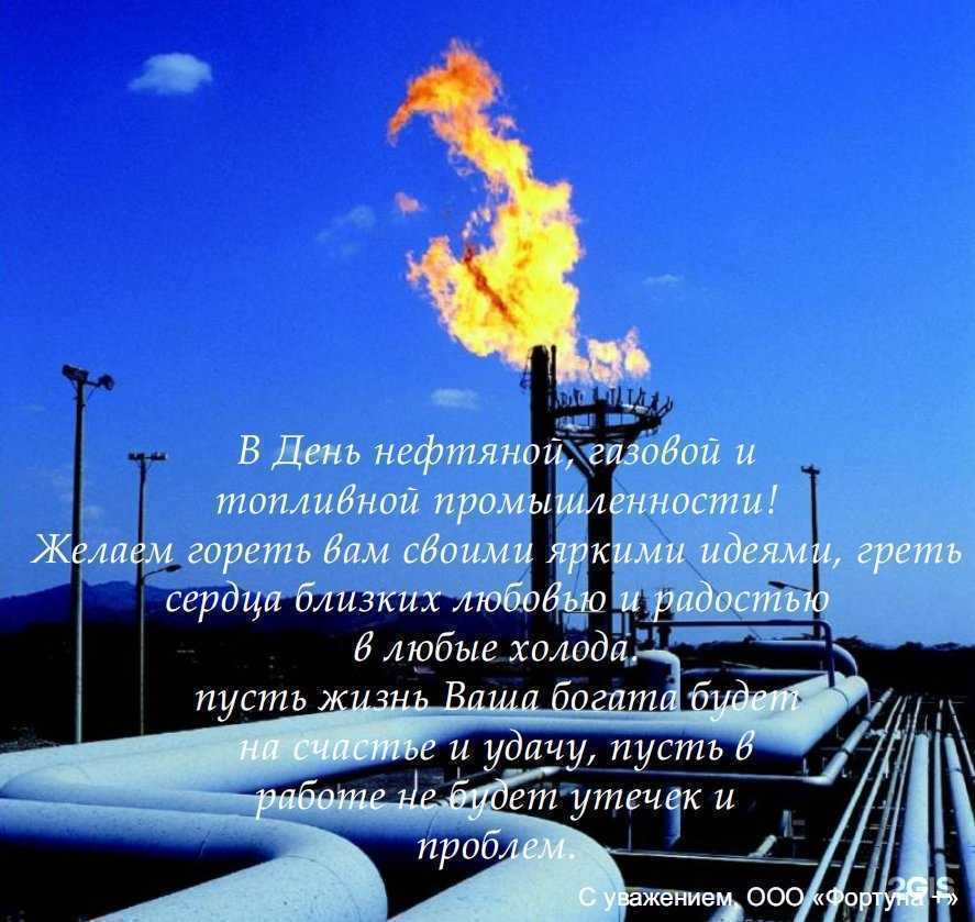 Отзывы на компанию Фортуна в г. Новосибирск c фото