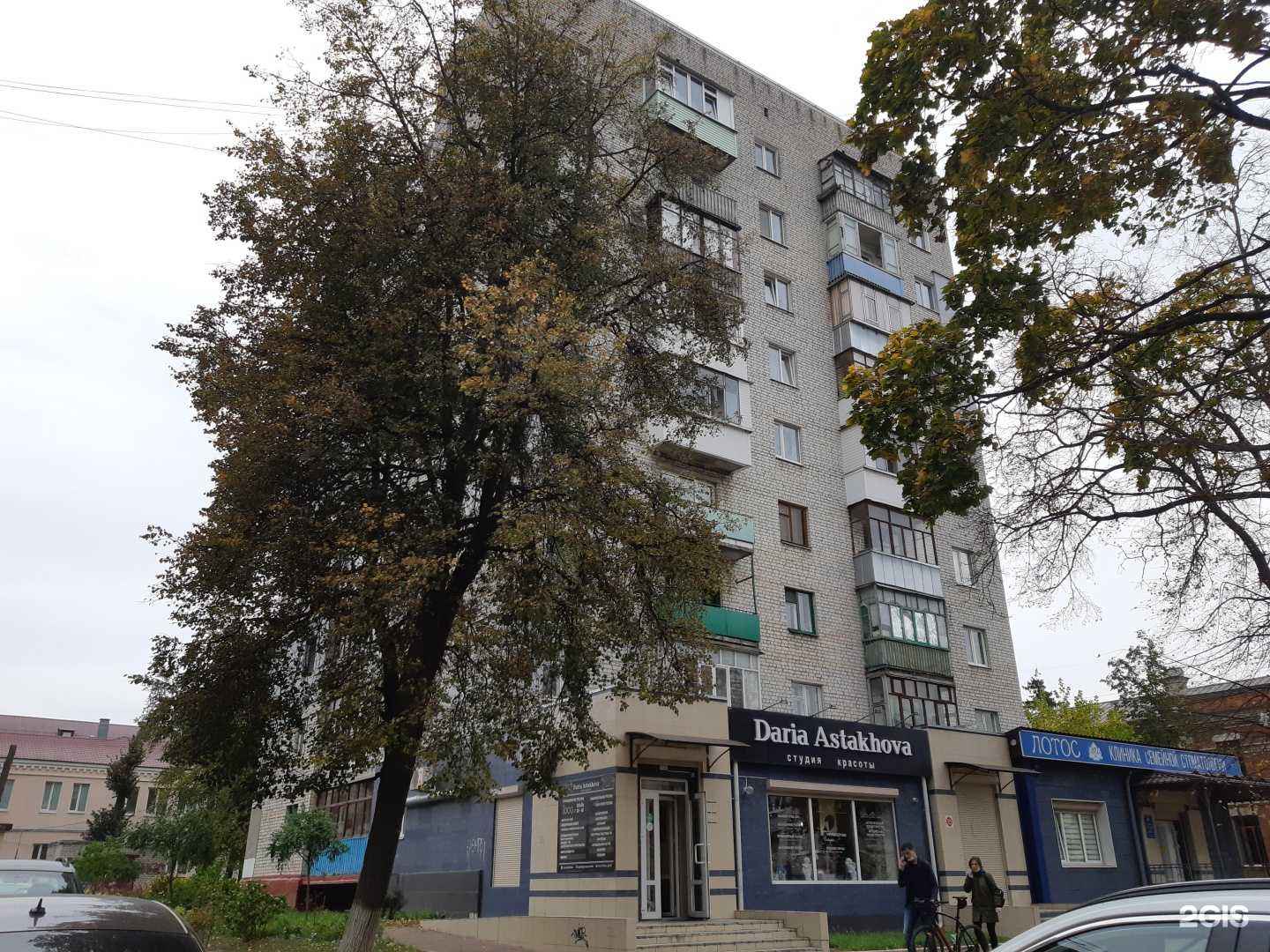 Отзывы на компанию Китёнок в Брянске c фото - фотография 2 из 2