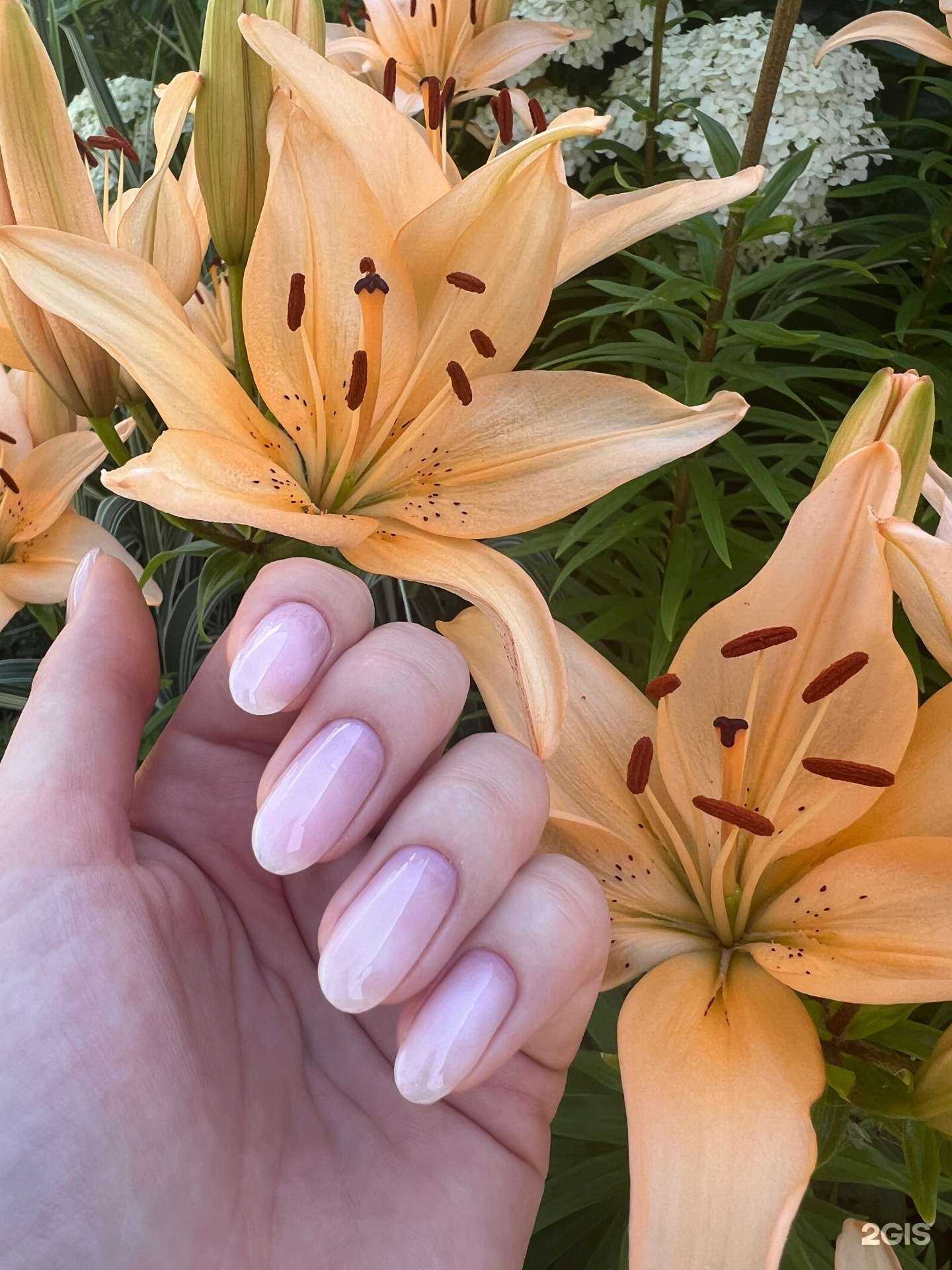 Отзывы на компанию Kristinails_profi в Казани c фото