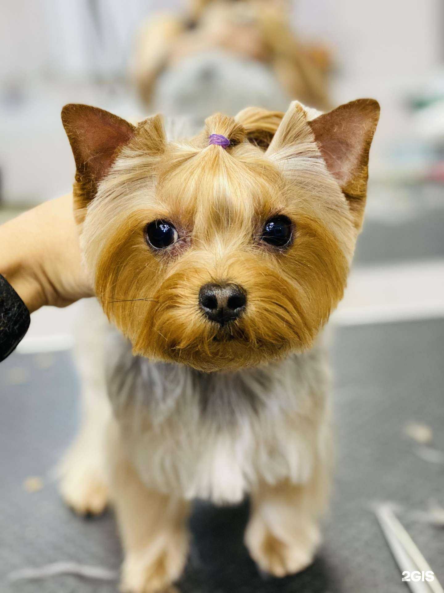 Отзывы на компанию Sherst в Уфе c фото