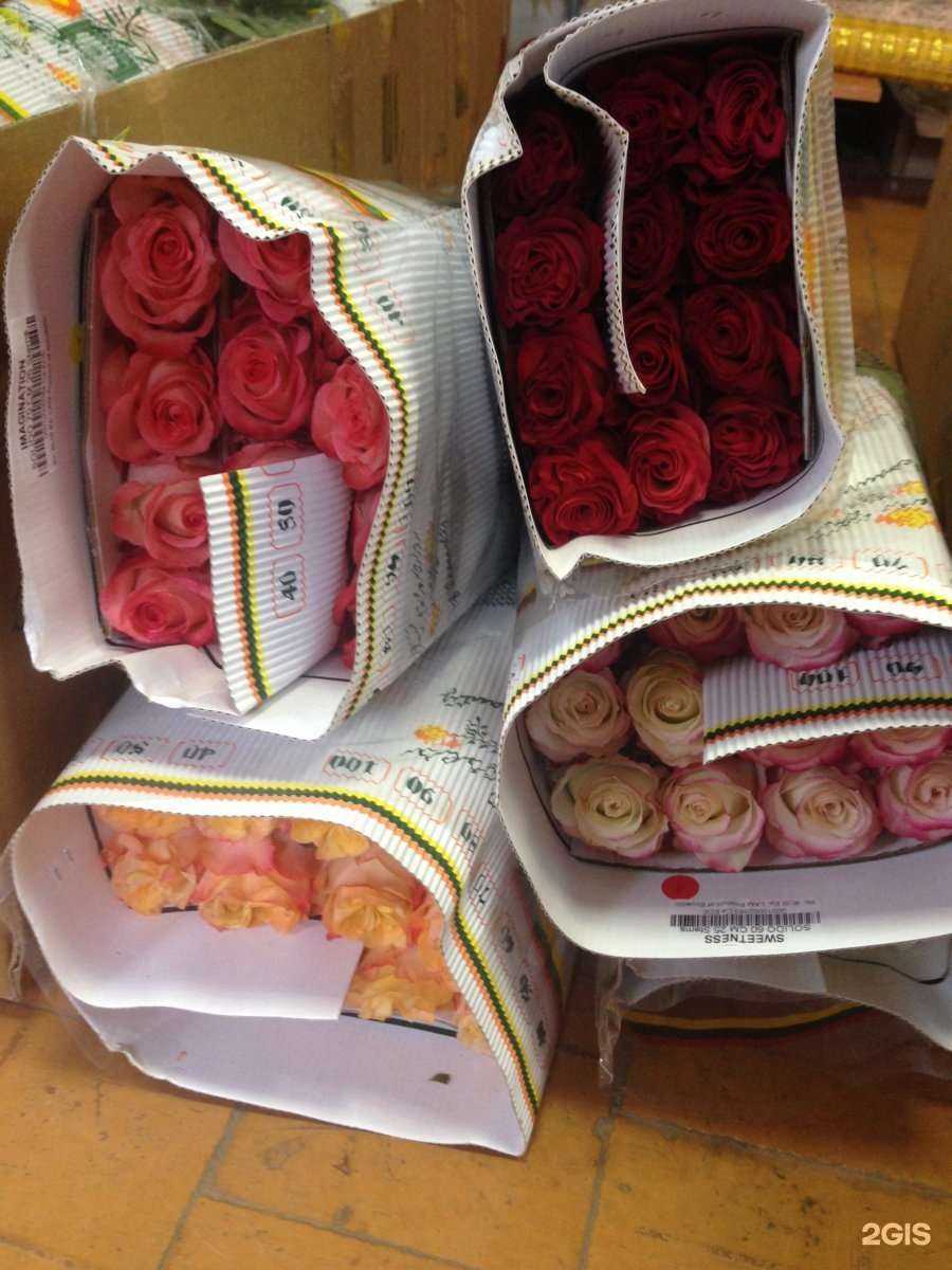 Отзывы на компанию Интерфлора в Воронеже c фото