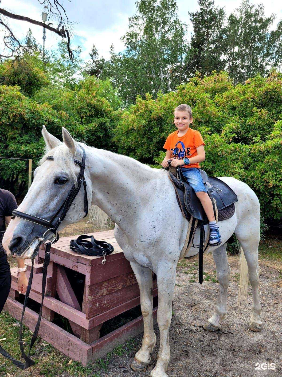 Отзывы на компанию Продленка в Челябинске c фото