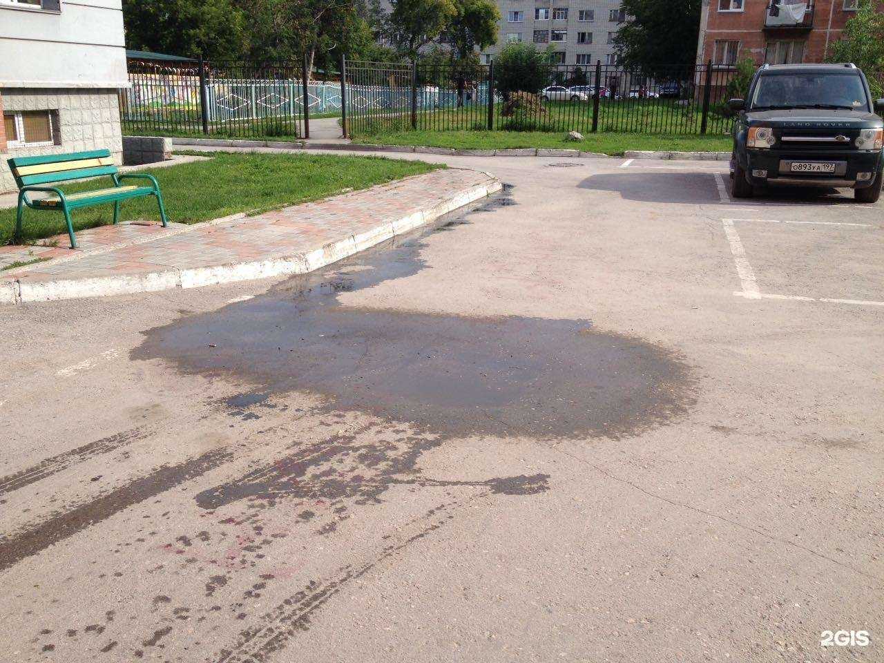 Отзывы на компанию Вербена в Бердске c фото