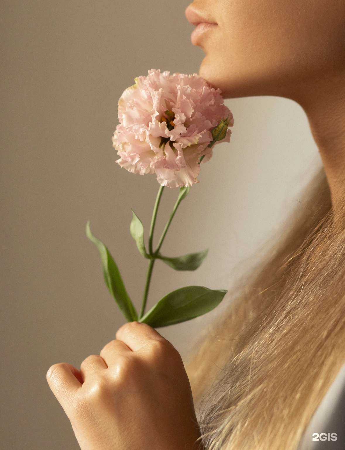 Отзывы на компанию Lipe в Перми c фото