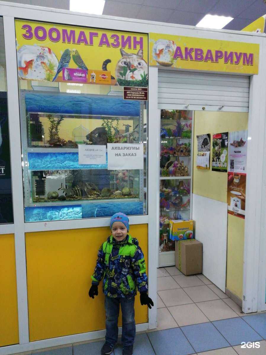 Отзывы на компанию Аквариум в Омске c фото